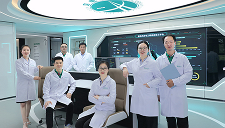 國(guó)電西高技術(shù)(shù)支持